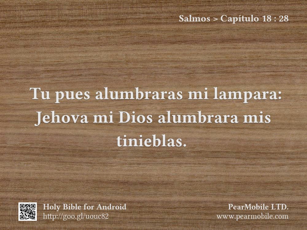 Salmos, Capítulo 18:28